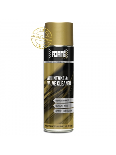 Forte Air Intake and Valve Cleaner 500ml